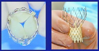 1521603860881025764.jpg 图片3.jpg