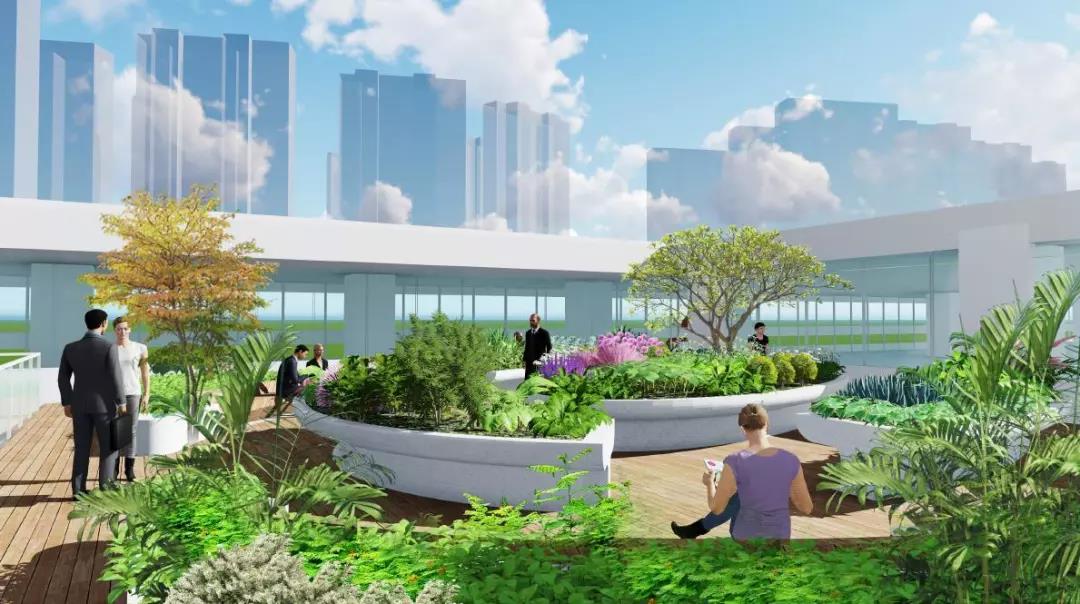 1559635569852039900.jpg 1559635569852039900.jpg