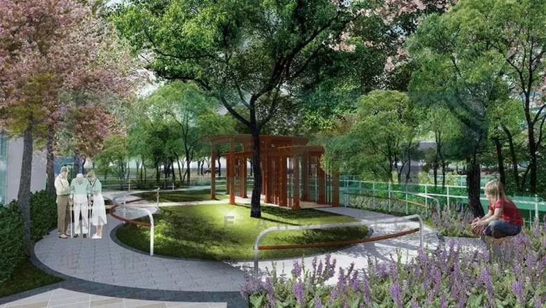 1559635569885094389.jpg 1559635569885094389.jpg