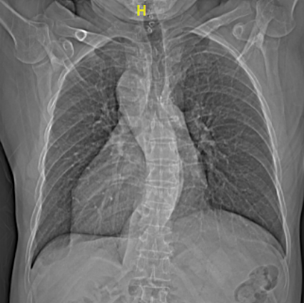 1577153714798063473.png 图片2.png