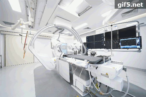 1591666129091073828.gif 6.gif