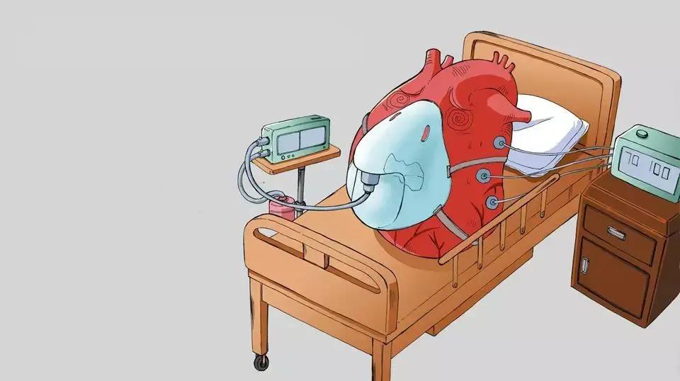 1606446401602017312.jpg 1.jpg