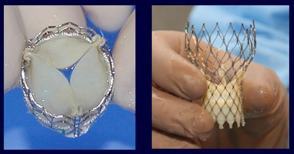 1620376767168092087.jpg 3.jpg