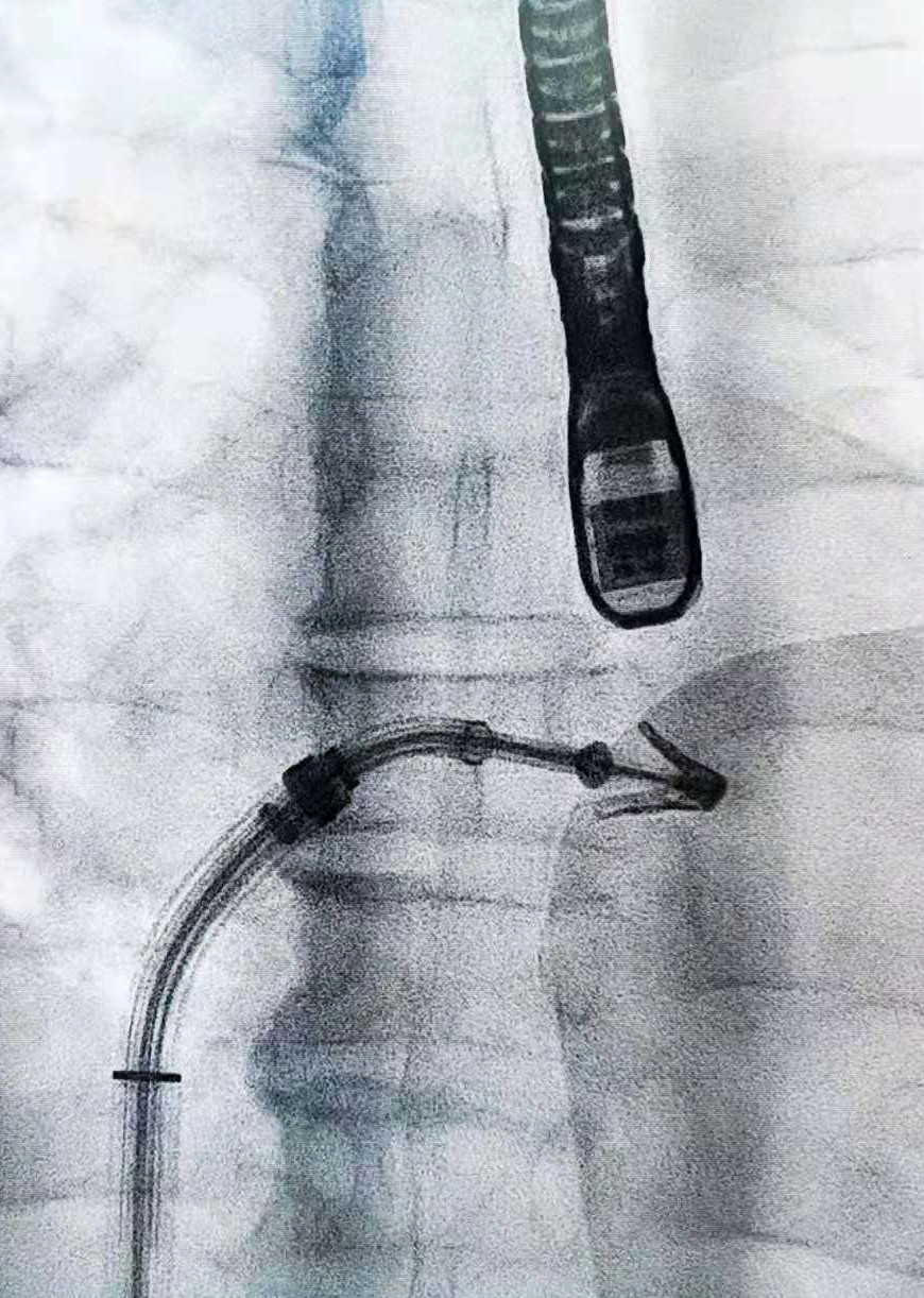 1620377029971082267.jpg 4.jpg