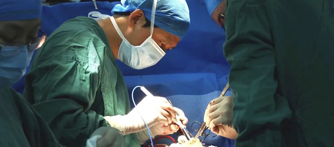 1625480806658083781.jpg 113.jpg