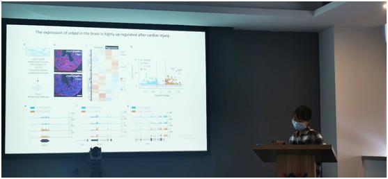 1667376497218005159.jpg 1d35ef06d3e7722f9832925ba4e52a2.jpg