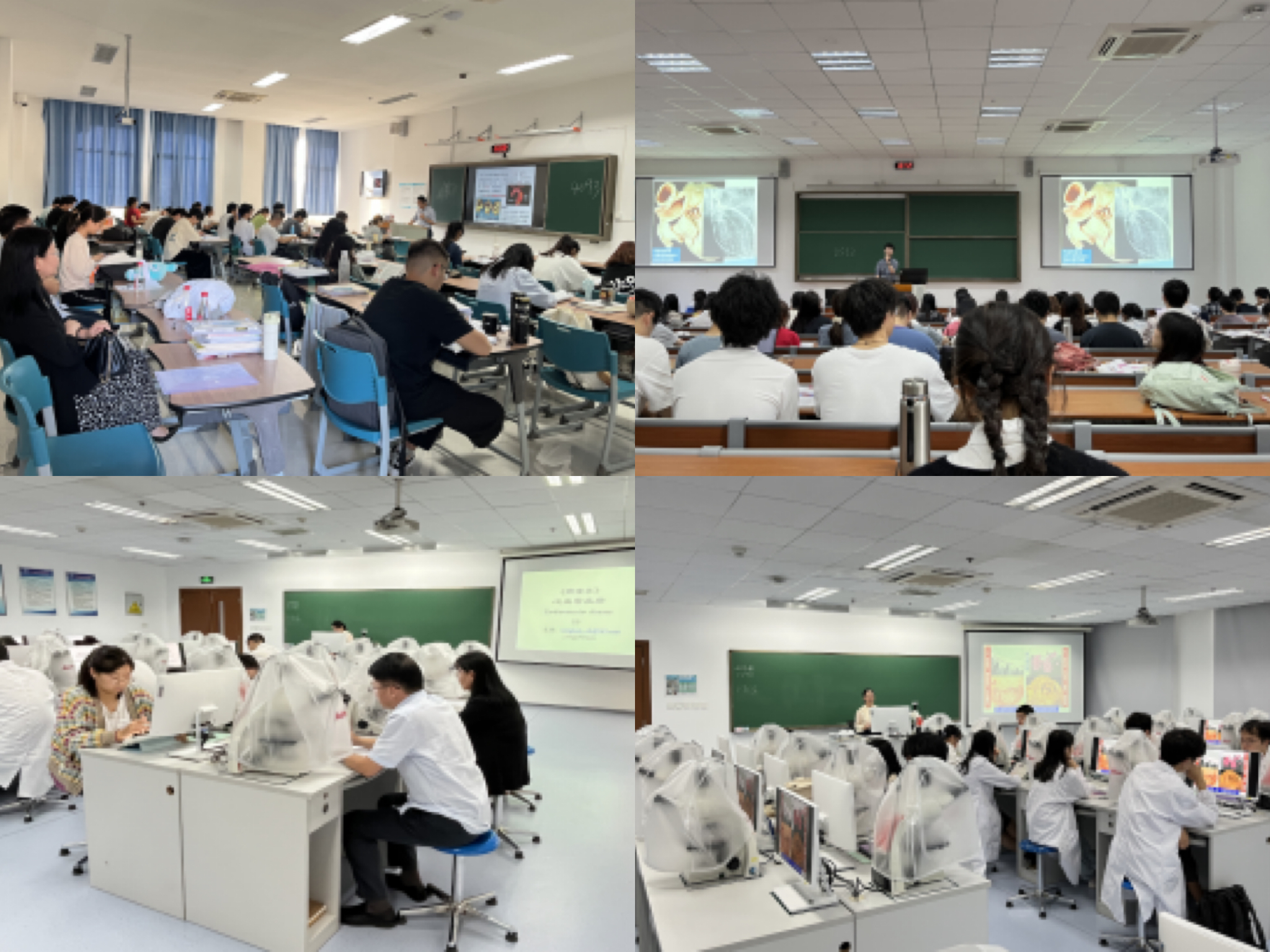 1699603560679343.jpg d97bdf11531c789087f3d7d861d654b.jpg