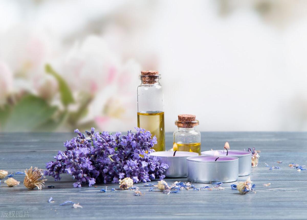 1703729395918956.jpg 0bb66456e45541998ece318cb1eac57c~tplv-obj.jpg