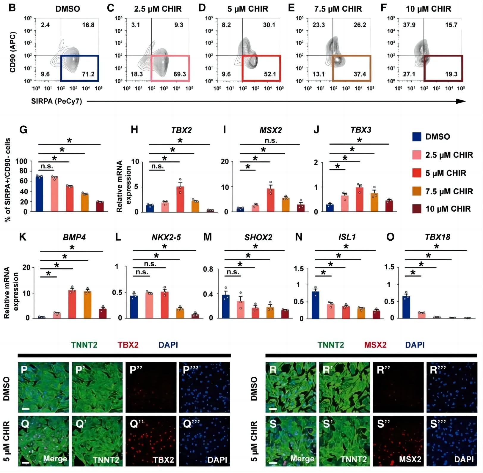 1717398094379119.jpg 640(1).jpg