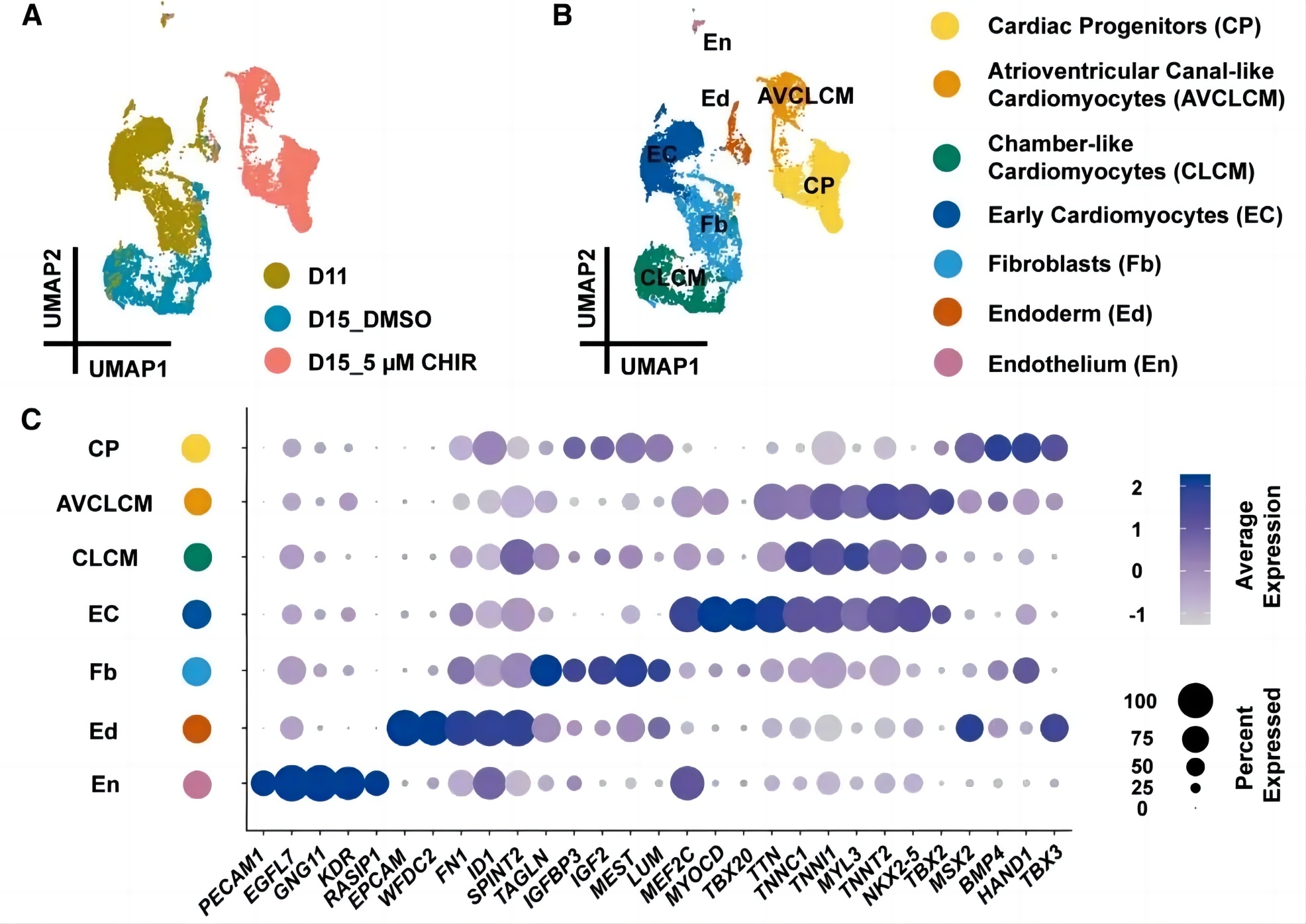 1717398149198105.jpg 640 (1).jpg