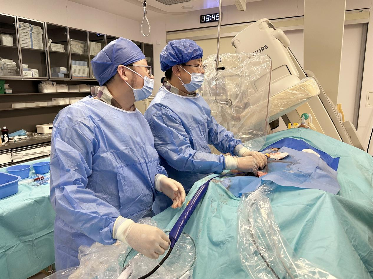 1732087289737944.png 1.png